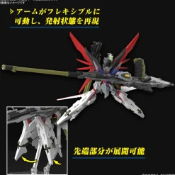 Rise of Gunpla High Grade (Hg)^HG 1/144 Destiny Gundam Spec II et Zeus Silhouette
