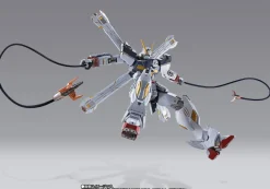 Rise of Gunpla Crossbone Gundam^METAL BUILD : CROSSBONE GUNDAM X1 FULL CLOTH