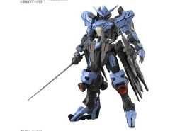 Rise of Gunpla Master Grade (Mg)^MG 1/100 Gundam Vidar