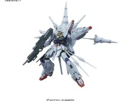Rise of Gunpla Gundam Seed|Master Grade (Mg)^MG 1/100 PROVIDENCE GUNDAM G.U.N.D.A.M LIMITED EDITION