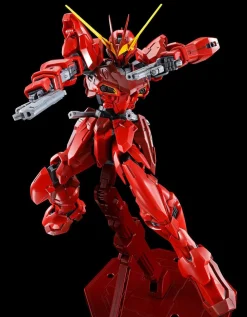 Rise of Gunpla Gundam Seed Astray|Master Grade (Mg)^MG 1/100 RGX-00 TESTAMENT GUNDAM
