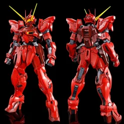Rise of Gunpla Gundam Seed Astray|Master Grade (Mg)^MG 1/100 RGX-00 TESTAMENT GUNDAM