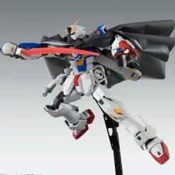 Rise of Gunpla Crossbone Gundam|Master Grade (Mg)^MG CROSSBONE GUNDAM X-1 PATCHWORK VER.KA