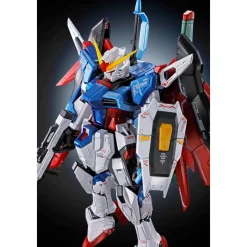 Rise of Gunpla Real Grade (Rg)^RG 1/144 DESTINY GUNDAM [TITANIUM FINISH]
