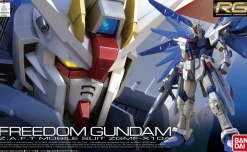 Rise of Gunpla Gundam Seed|Real Grade (Rg)^RG 1/144 FREEDOM GUNDAM