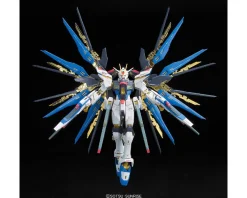 Rise of Gunpla Gundam Seed Destiny|Real Grade (Rg)^RG 1/144 STRIKE FREEDOM GUNDAM