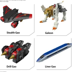 Rise of Gunpla Real Grade (Rg)^RG GAOGAIGAR